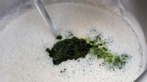 Das Bärlauch-Süppchen