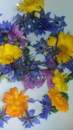 Essbare Blüten Essbare Blüten