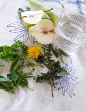 Smoothie Frühlingsgefühl, Zutaten vorbereiten Smoothie Frühlingsfefühl, Zutaten vorbereiten