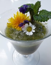Smoothie Frühlingsgefühl, trinkfertig garniert Smoothie Frühlingsgefühl, trinkfertig garniert