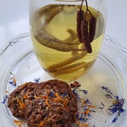 Tee aus Haselkätzchen und Erlenmakronen