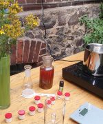 Vorbereitungen für die Johanniskraut-Salbe