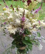 Ein Strauß Sommerkräuter