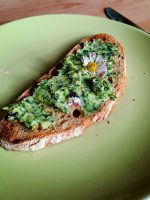 Amuse-Gueule: Bärlauchbutter auf geröstetem Brot