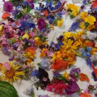 Gesammelte Sommerblüten