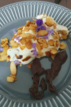 Englische Creme (Crème anglaise) als Dessert english cream