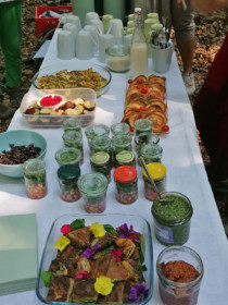 Picknick-Tafel: Tortilla mit Gutem Heinrich (wilder Spinat); Creme-Brulée-Brownies; Pancakes mit Aufstrichen; Salat aus dem Gläschen; Dessert mit Maracuja-Creme; dazu Kaffee und Tee. Tortilla mit Gutem Heinrich (wilder Spinat); Creme-Brulée-Brownies; Pancakes mit Aufstrichen; Salat aus dem Gläschen; Dessert mit Maracuja-Creme; dazu Kaffee und Tee.