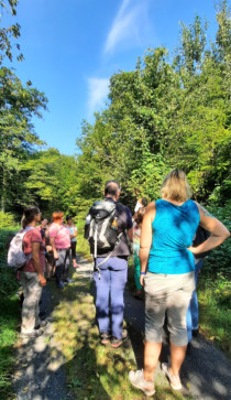 Wissenswertes zum wilden Hopfen Wissenswertes zum wilden Hopfen